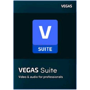 베가스 21 suite 시리얼 코드 팝니다
