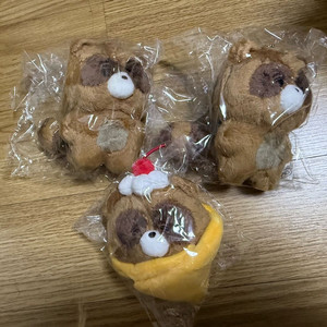 쪼구리 올망구리 쪼파르페 선우