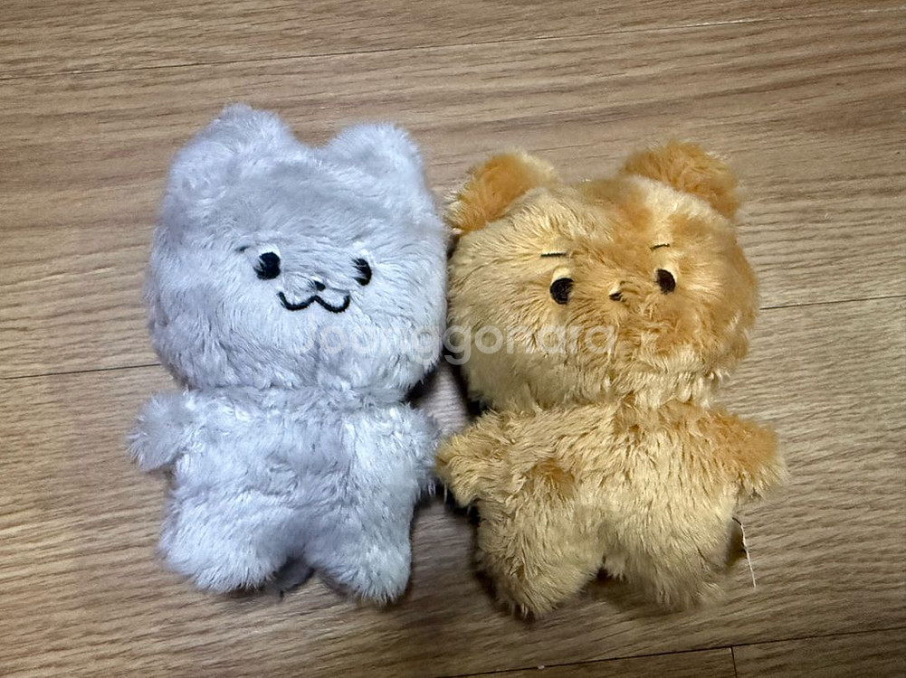 달곰 쥬냥 일괄 / 주연 현재--0