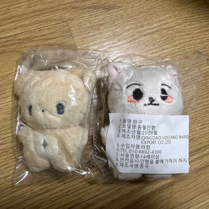 콩절미 런먕이 런쥔