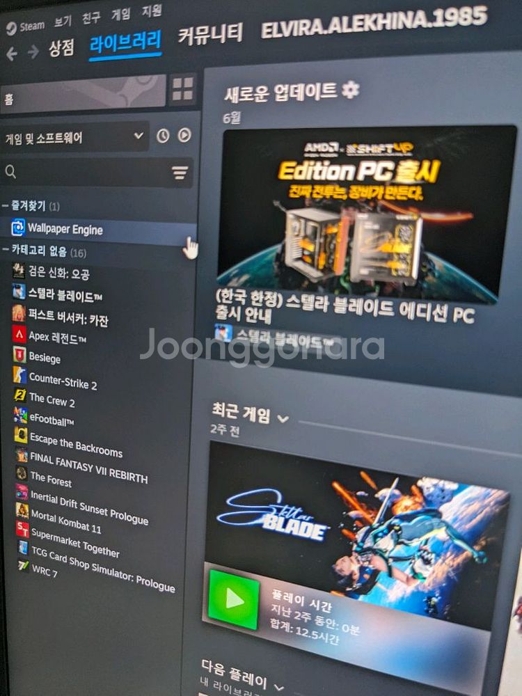 스팀ㅍㅍ 스텔라블레이드,오공,카잔,파판7리버스등--0