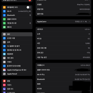 아이패드 프로 1테라 13인치 셀룰러 팝니다