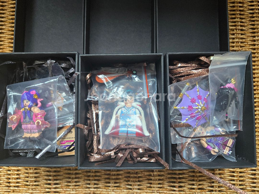 레일리 커스텀 레고 왕소군, 대교, 소교--3