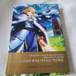 Return to AVALON Fate ART WORK