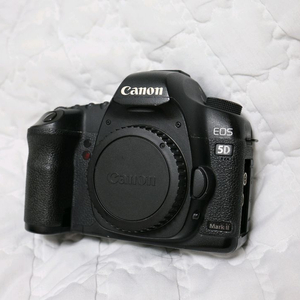 캐논 EOS 5D Mark II 오두막