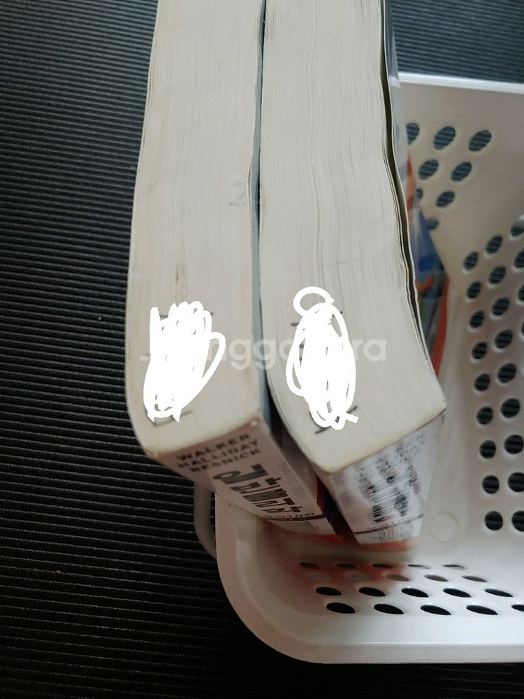 할리데이 일반물리학 10판 1권 2권--1