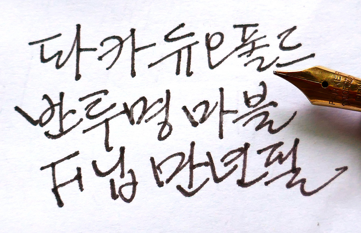 파카 듀오폴드 만년필 레이디 반투명 마블 - F--8