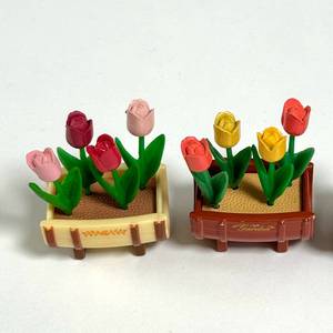 실바니안 튤립 꽃 화분 정원 일괄