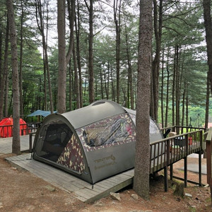 오르투스T 텐트