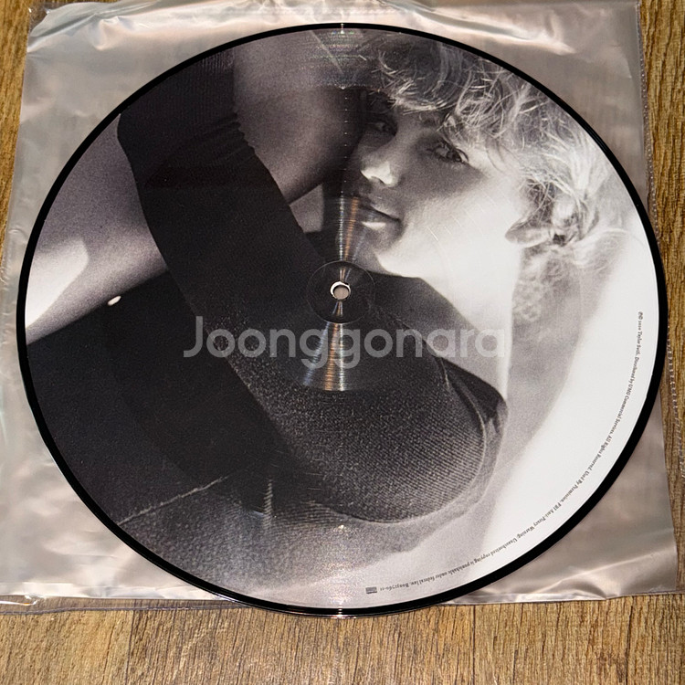 테일러 스위프트 픽쳐 디스크 바이닐 lp 엘피 card--0