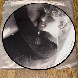 테일러 스위프트 픽쳐 디스크 바이닐 lp 엘피 card