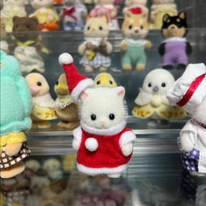 실바니안 산타 페르시안 고양이
