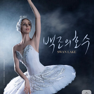 백조의 호수 27일 명당