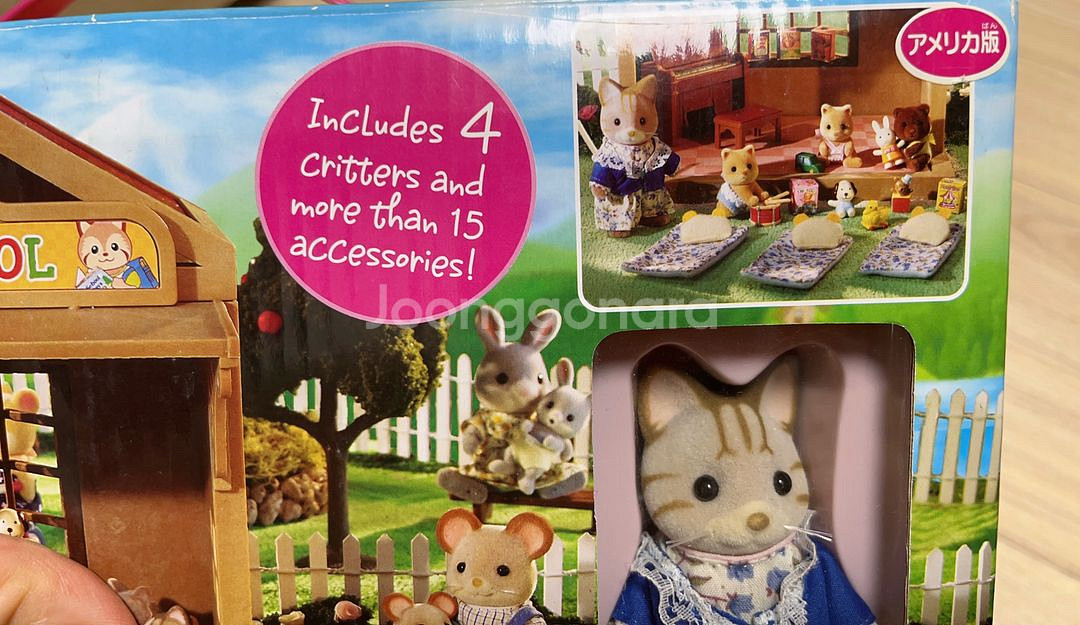 실바니안 올드 레어 칼리코클리터스 유치원 미니샵--1