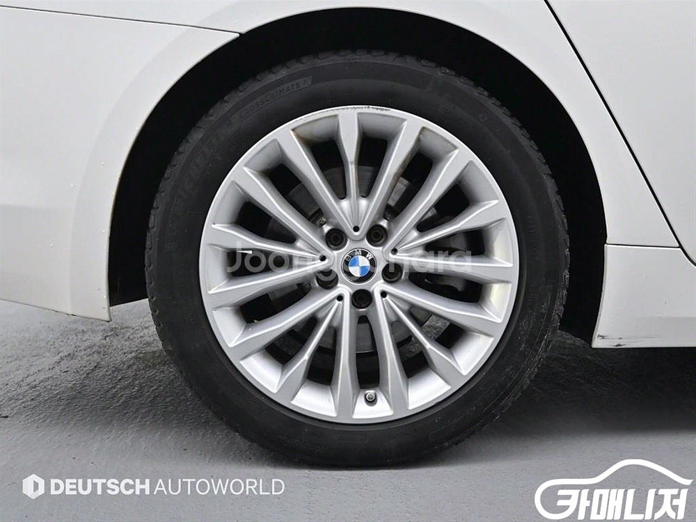 [BMW]5시리즈 (G30) 520d xDrive 럭셔--4