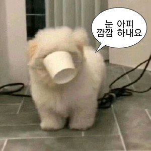 애니 랜봉 판매합니다!