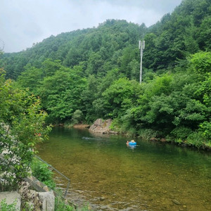 알로항머니삽니다