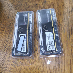 ddr5페트리어트시그니처5600