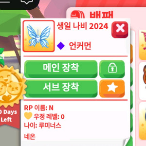 입양하세요 N2024생일나비