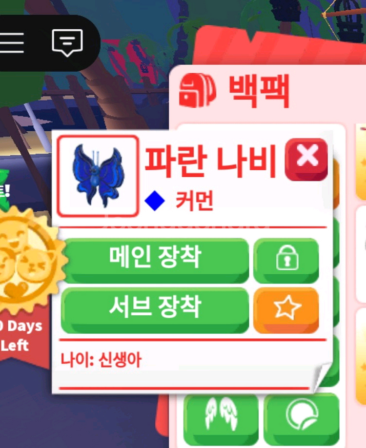 입양하세요 호박나비,파란나비--0