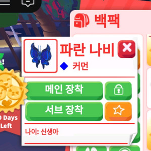 입양하세요 호박나비,파란나비