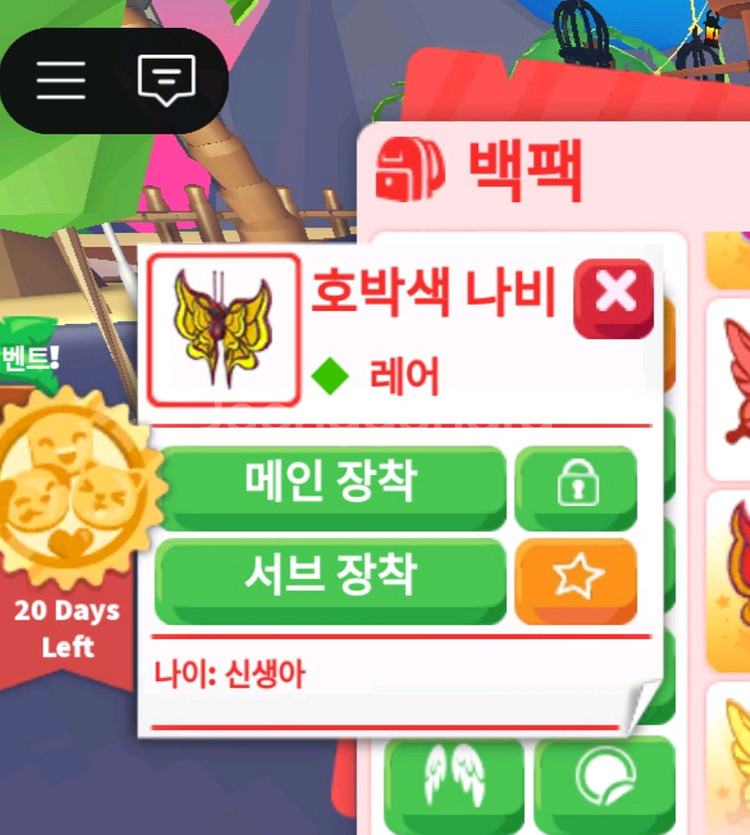 입양하세요 호박나비,파란나비--1