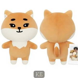 데이식스 데니멀즈 자이언트 케