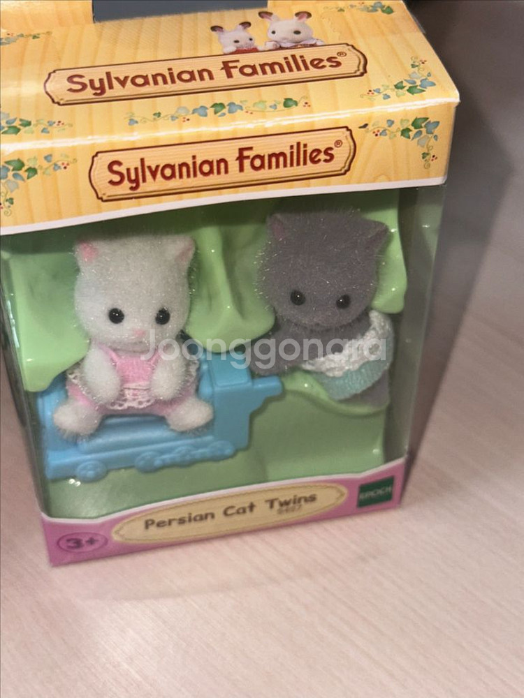 실바니안 페르시안 고양이 아기 쌍둥이--0