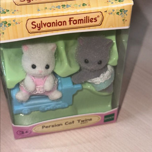 실바니안 페르시안 고양이 아기 쌍둥이