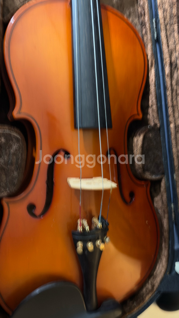 F cean violin 바이올린4/4 4만원--1