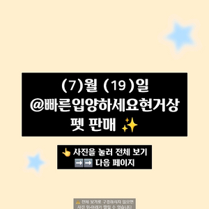 입양하세요 펫 많이 팔아요