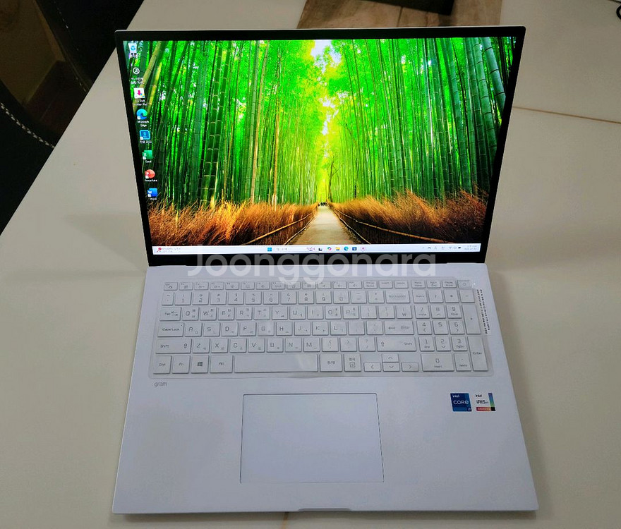 LG그램노트북 17ZD90P i7 11세대,16/512--0