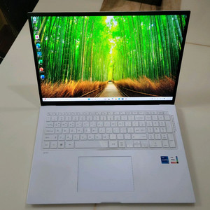 LG그램노트북 17ZD90P i7 11세대,16/512