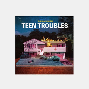 검정치마 3집 LP TEEN TROUBLES
