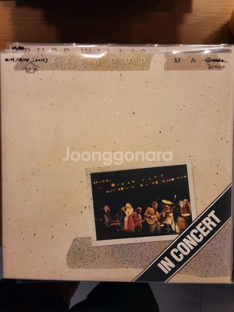 플리투우드 맥 lp--0