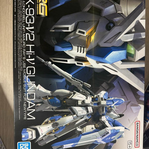RG 하이뉴 건담