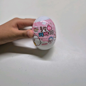 몰랑이 랜덤러버키링