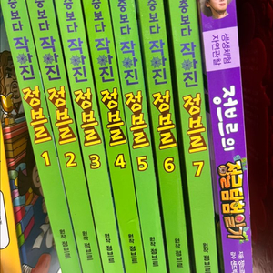 정브르 8권