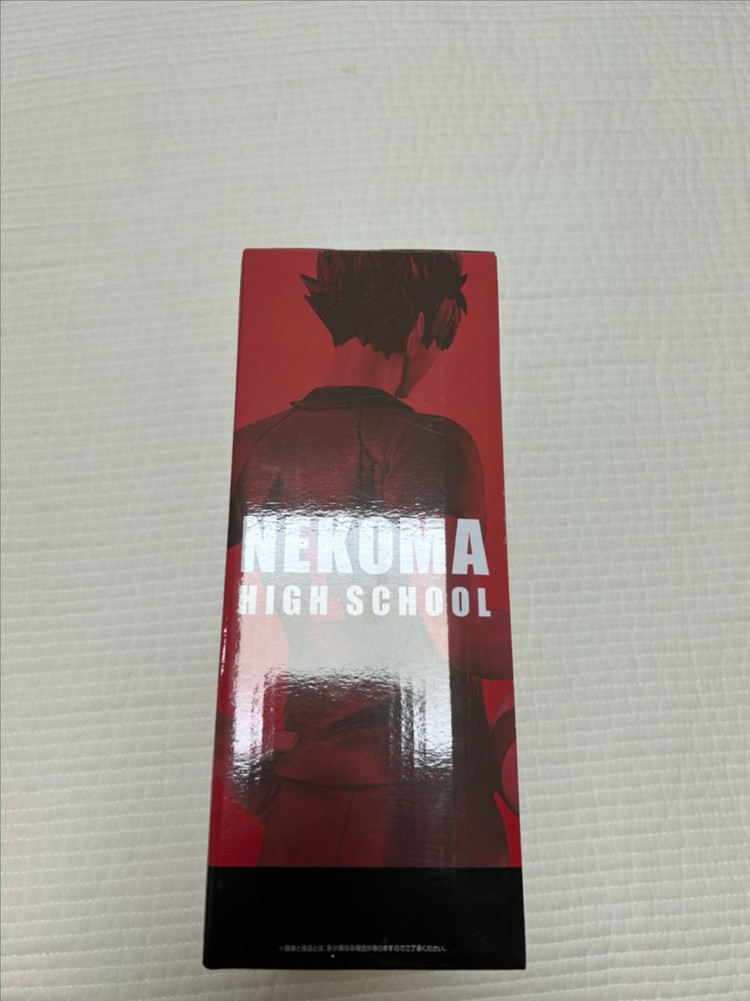 제일복권 하이큐 쓰레기장의결전 2 쿠로오 테츠로 피규어 이미지