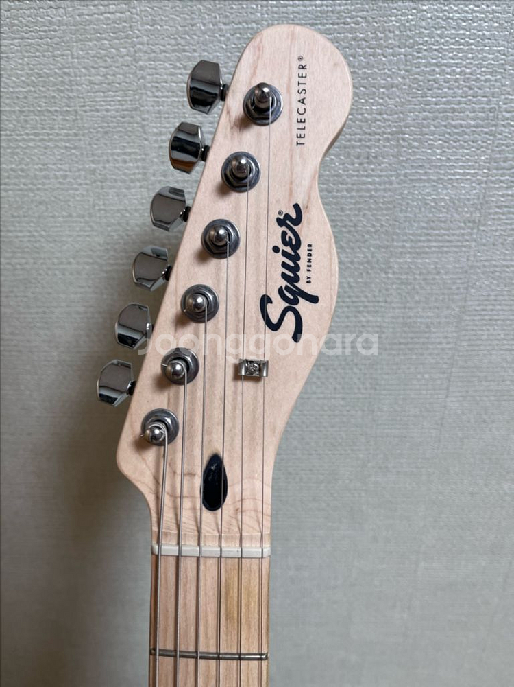 스콰이어 소닉 텔레 SONIC TELECASTER--1