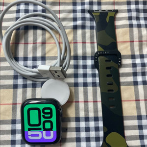 애플워치6스테인리스 44mm SS급