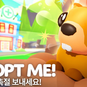 입양하세요 얼드이상 급처펫 삽니다