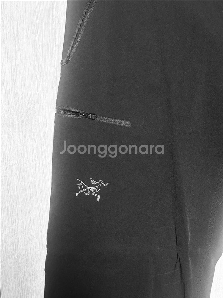 아크테릭스 감마LT 팬츠--1