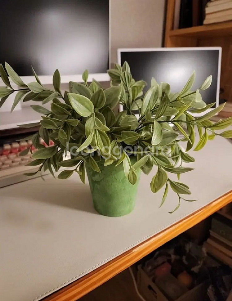 식물 조화 화분 일괄--0