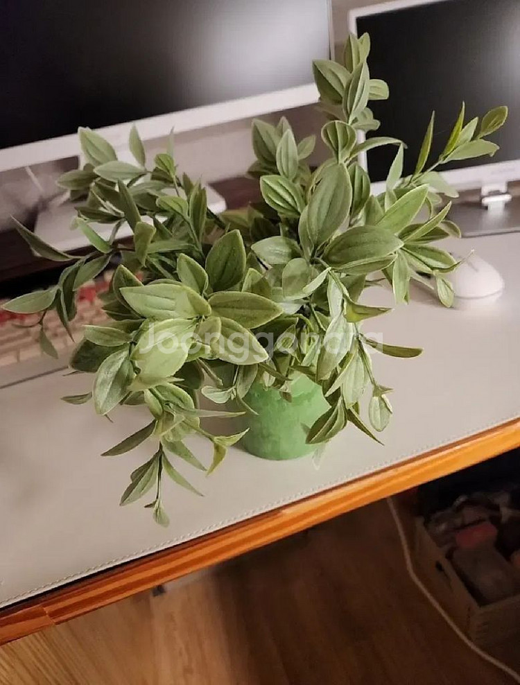 식물 조화 화분 일괄--1