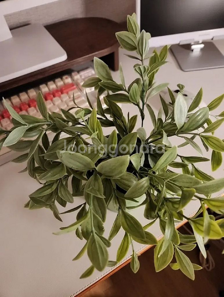 식물 조화 화분 일괄--2