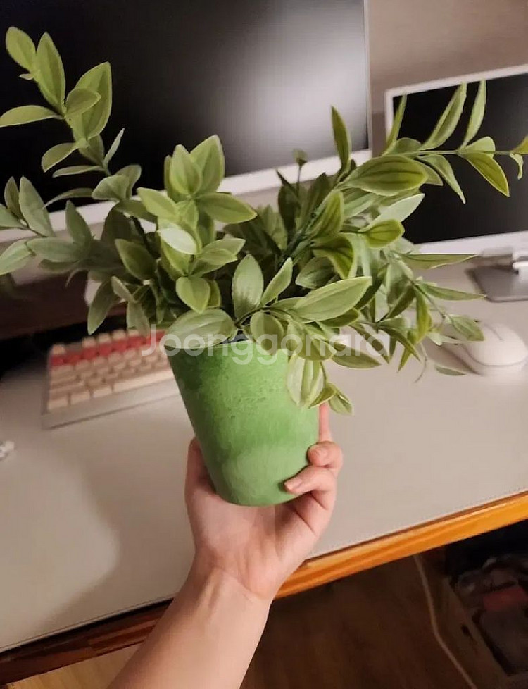 식물 조화 화분 일괄--3