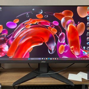 MSI 255XFV 240hz 모니터 한달사용
