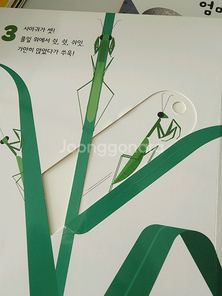 오브레인 수과학 20권 택포--1