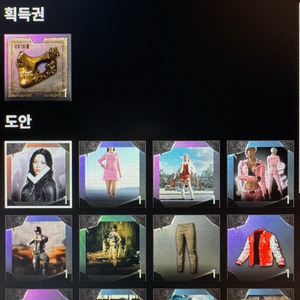 스팀 배그 카리나 스킨